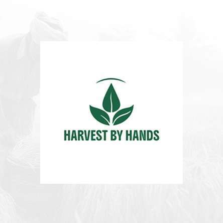 Harvest by Hands logo featuring green leaves symbolizing natural agriculture and sustainable farming