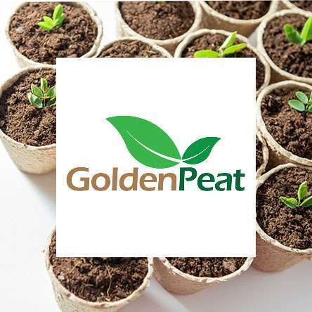 golden peat logo colored